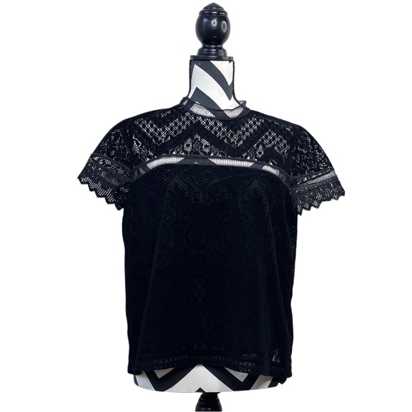 Laundry By Shelli Segal Tops - Laundry By Shelli Segal Whimsigoth Paisley Floral Fairygoth Velvet Lace Sz M Top